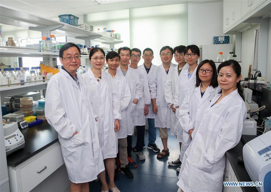Qin Zhongjun, a molecular biologist, and his team and students pose for photo at the Center for Excellence in Molecular Plant Sciences, Shanghai Institute of Plant Physiology and Ecology, of Chinese Academy of Sciences in Shanghai, east China, July 31, 2018. Brewer\'s yeast, one-third of whose genome is said to share ancestry with a human\'s, has 16 chromosomes. However, Chinese scientists have managed to fit nearly all its genetic material into just one chromosome while not affecting the majority of its functions, according to a paper released Thursday on Nature\'s website. Qin Zhongjun and his team used CRISPR-Cas9 genome-editing to create a single chromosome yeast strain, the paper said. (Xinhua/Ding Ting)