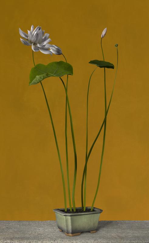 Hommage a__Sanyu (#03), Bas Meeuws, courtesy of Per van der Horst Gallery (The Hague and Taipei), 2017. (Photo provided to chinadaily.com.cn)