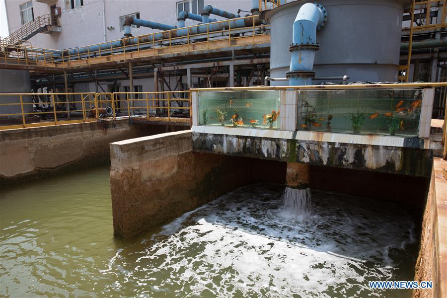 Treated wastewater is seen at Tongling Nonferrous Metals Group Holdings Co., Ltd in Tongling City, east China\'s Anhui Province, Aug. 8, 2018. Tongling government takes measures to improve ecological environment and develop green industry along the Yangtze River. (Xinhua/Jin Liwang)