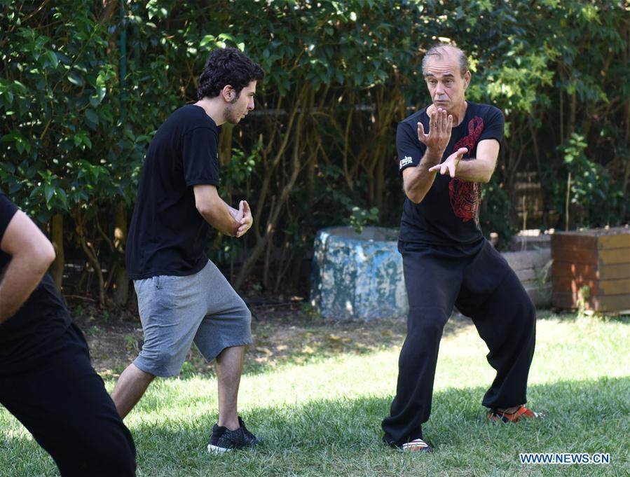 Turkish Tai Chi instructor Esat Atac (R) shows Tai Chi moves to his student in Istanbul, Turkey, on Aug. 9, 2018. Tai Chi has recently become an appealing activity, especially for those who feel stressed out living in big cities like Istanbul, according to Mustafa Karslioglu, deputy head of the Turkish-Chinese Cultural Association. (Xinhua/He Canling)