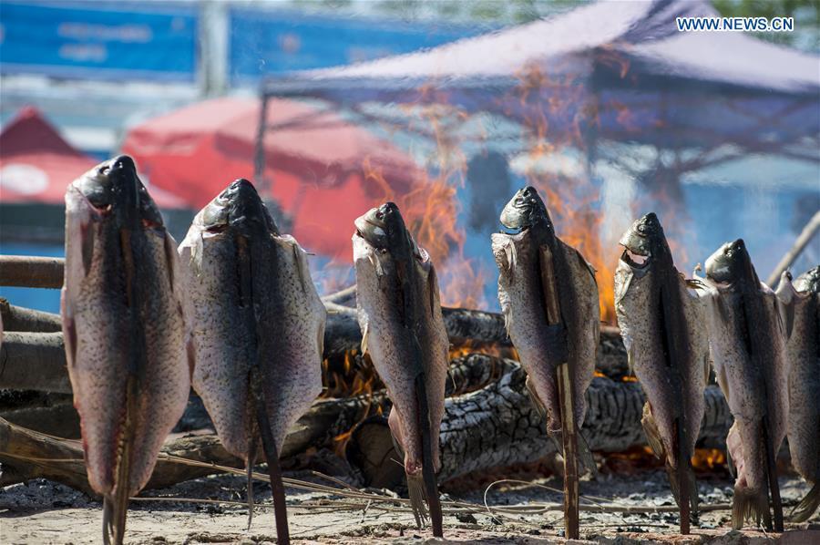 Photo taken on May 22, 2017 shows baked fishes displayed at an international food expo in Urumqi, northwest China\'s Xinjiang Uygur Autonomous Region. (Xinhua/Jiang Wenyao)