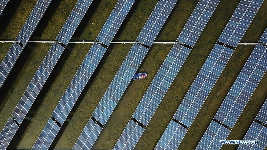 Aerial photo taken on Aug. 9, 2018 shows a villager cleaning the flotage in a fish pond covered by photovoltaic power panel in Yintu Township of Jinhu County, east China\'s Jiangsu Province. (Xinhua/Li Yuze)