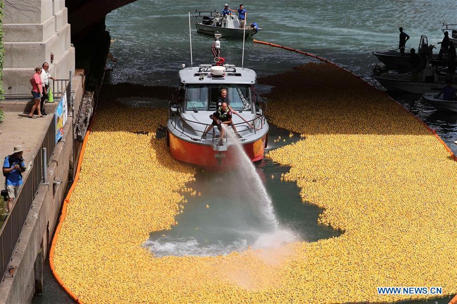 Rubber ducks float down the Chicago River during the 13th Annual Chicago Ducky Derby in Chicago, the United States, Aug. 9, 2018. Derby organizers dropped about 60,000 rubber ducks into the Chicago river on Thursday to start the Rubber Ducky Derby this year, which helps raise money for Special Olympics Illinois. (Xinhua/Wang Ping)