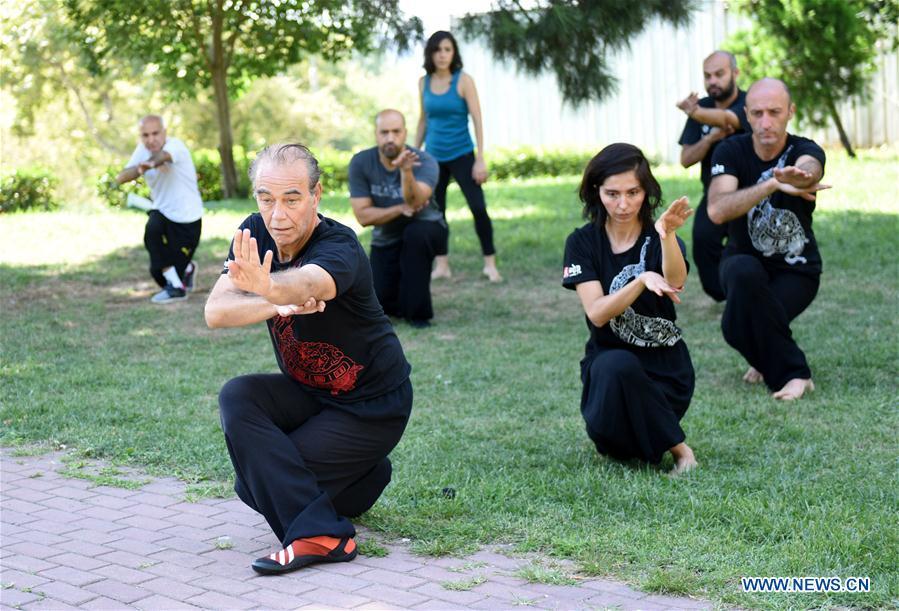 Turkish Tai Chi instructor Esat Atac (front) leads his students to practice Tai Chi, an ancient Chinese martial art, in Istanbul, Turkey, on Aug. 9, 2018. Tai Chi has recently become an appealing activity, especially for those who feel stressed out living in big cities like Istanbul, according to Mustafa Karslioglu, deputy head of the Turkish-Chinese Cultural Association. (Xinhua/He Canling)