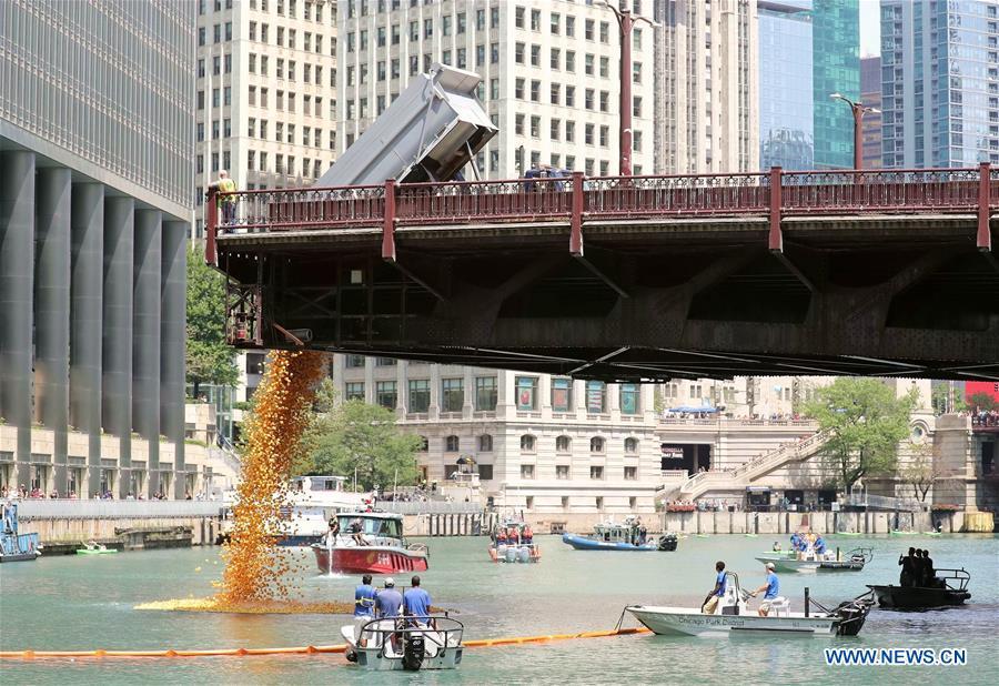 Rubber ducks are dropped into the Chicago River during the 13th Annual Chicago Ducky Derby in Chicago, the United States, Aug. 9, 2018. Derby organizers dropped about 60,000 rubber ducks into the Chicago river on Thursday to start the Rubber Ducky Derby this year, which helps raise money for Special Olympics Illinois. (Xinhua/Wang Ping)
