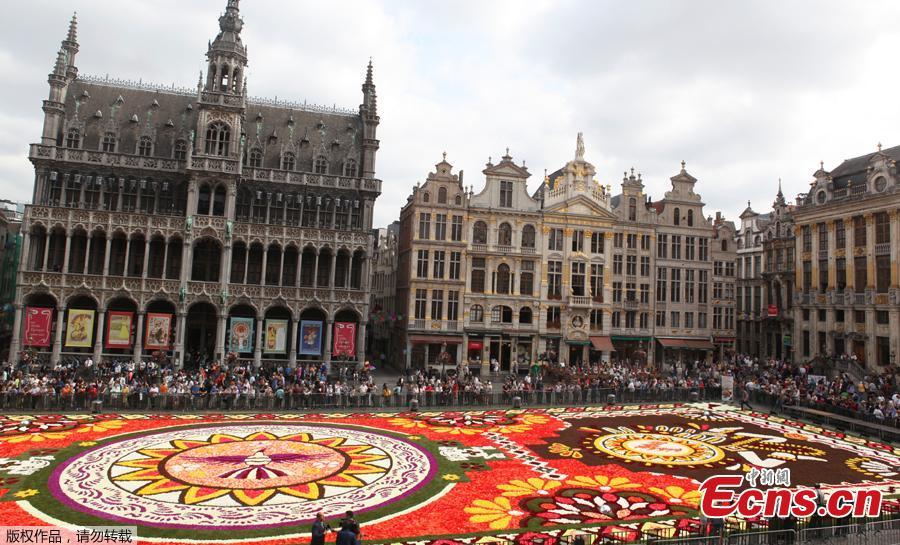 A 1,800 square meters flower carpet on the theme \