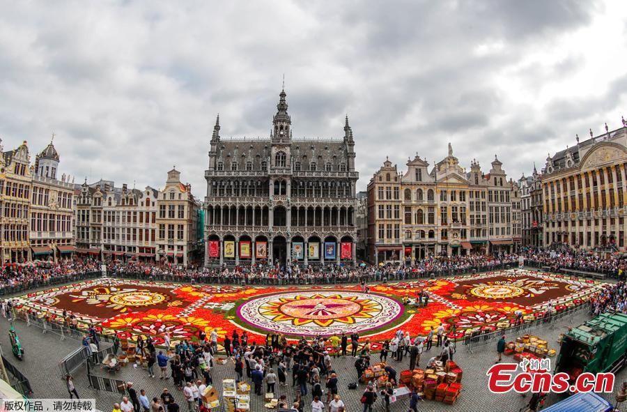A 1,800 square meters flower carpet on the theme \