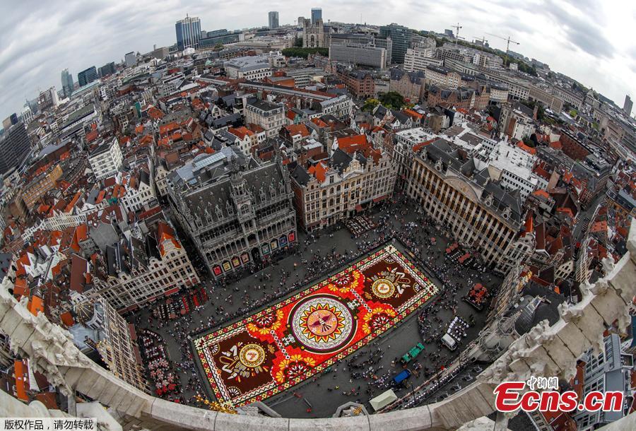 A 1,800 square meters flower carpet on the theme \