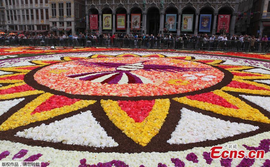 A 1,800 square meters flower carpet on the theme \