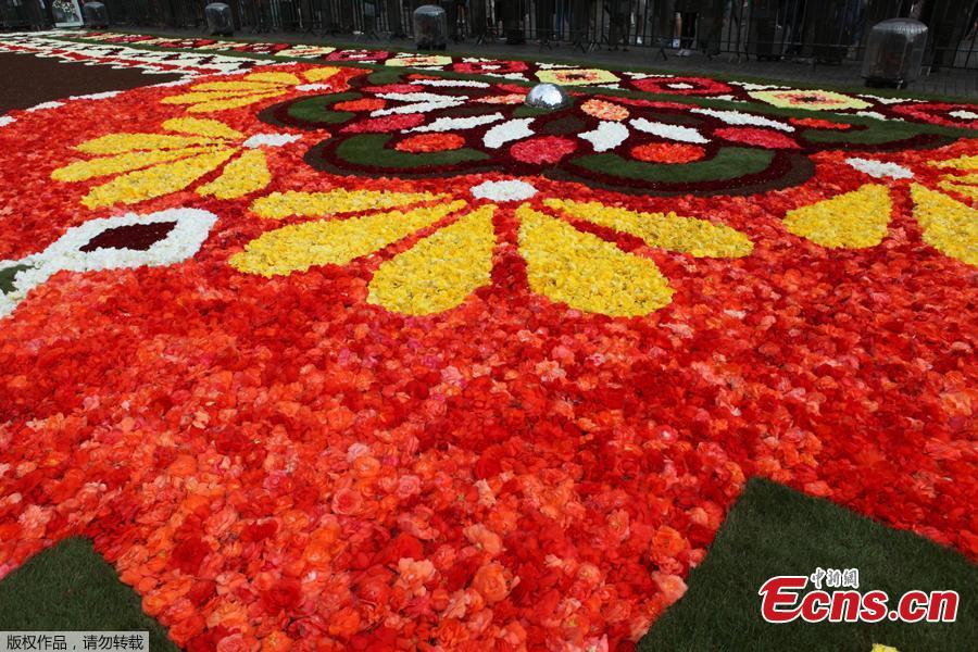 A 1,800 square meters flower carpet on the theme \
