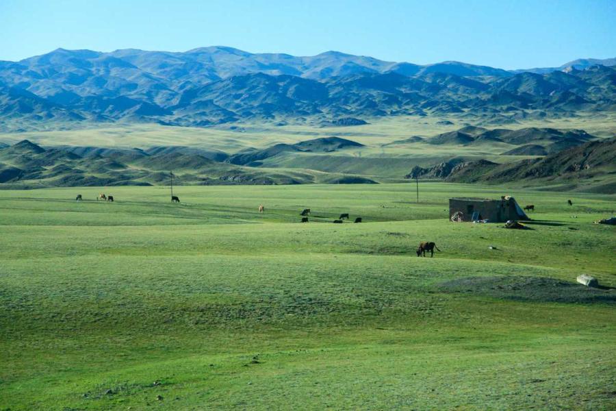 Scenery along the Tacheng section of S318 provincial road in the Xinjiang Uygur autonomous region. (Photo/chinadaily.com.cn)
