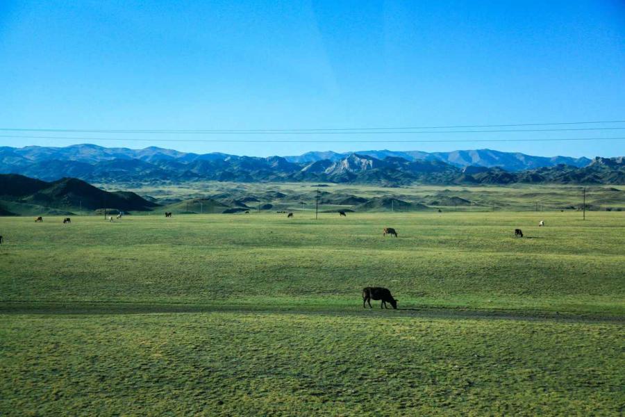 Scenery along the Tacheng section of S318 provincial road in the Xinjiang Uygur autonomous region. (Photo/chinadaily.com.cn)