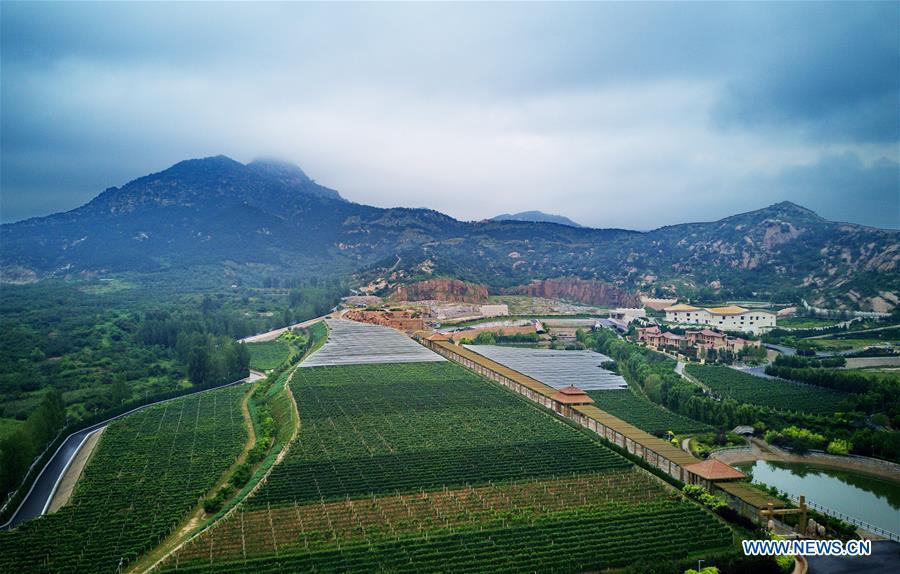 Aerial photo taken on Aug. 19, 2018 shows a winery constructed on the site of an abandoned mine in Changli County, north China\'s Hebei Province. The discarded mine and damaged mountain revive as the local government has been stepping up measures to rehabilitate the ecological environment. (Xinhua/Yang Shiyao)