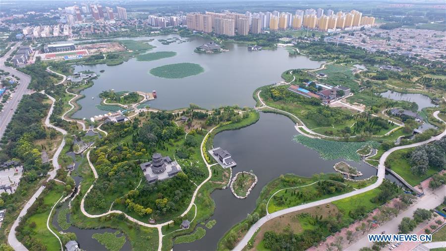 Aerial photo taken on Aug. 19, 2018 shows Yingzhou Park in Hejian City, north China\'s Hebei Province. Yingzhou Park, transformed from an abandoned sump, has become an ecological park covering 51 hectares of green space and 44 hectares of water area. (Xinhua/Zhu Xudong)
