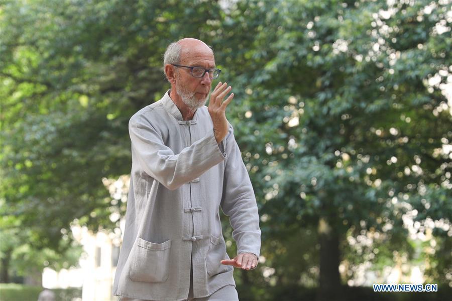 A man learns Tai Chi at the Cinquantenaire park in Brussels, Belgium, Aug. 21, 2018. Every Tuesday and Friday afternoon, free Chinese Tai Chi class is held here and it attracts many local residents in Brussels. (Xinhua/Zheng Huansong)