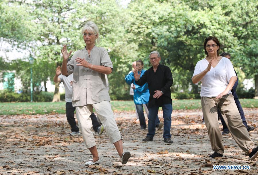 People learn Tai Chi at the Cinquantenaire park in Brussels, Belgium, Aug. 21, 2018. Every Tuesday and Friday afternoon, free Chinese Tai Chi class is held here and it attracts many local residents in Brussels. (Xinhua/Zheng Huansong)