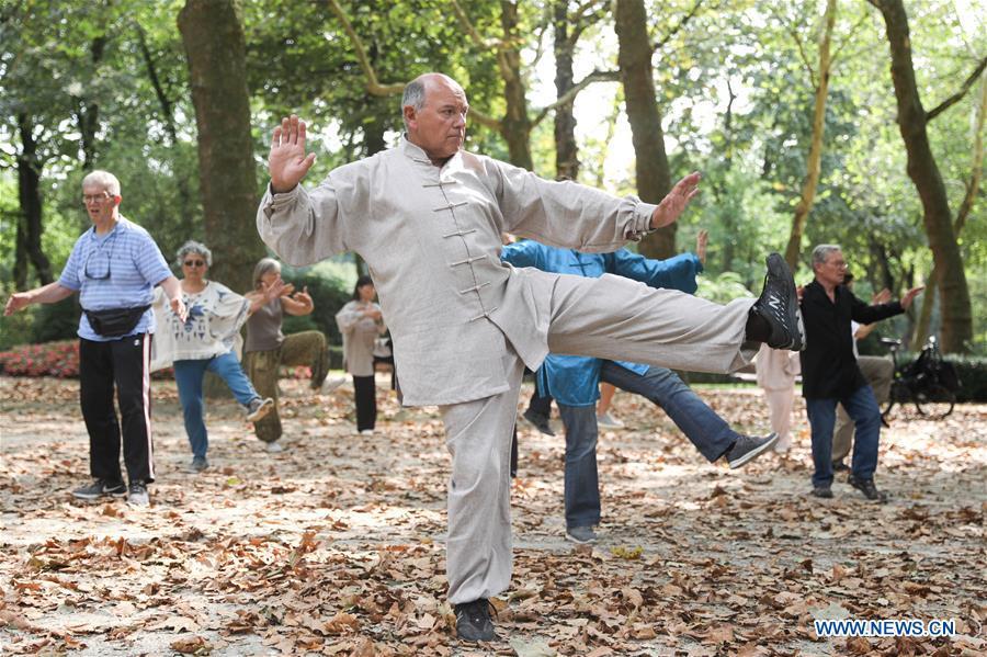 People learn Tai Chi at the Cinquantenaire park in Brussels, Belgium, Aug. 21, 2018. Every Tuesday and Friday afternoon, free Chinese Tai Chi class is held here and it attracts many local residents in Brussels. (Xinhua/Zheng Huansong)