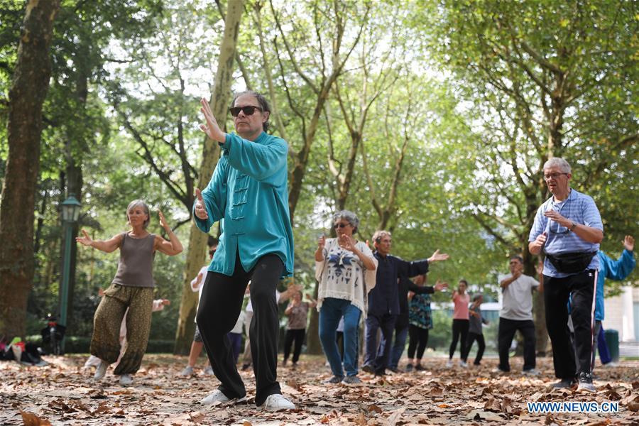 People learn Tai Chi at the Cinquantenaire park in Brussels, Belgium, Aug. 21, 2018. Every Tuesday and Friday afternoon, free Chinese Tai Chi class is held here and it attracts many local residents in Brussels. (Xinhua/Zheng Huansong)