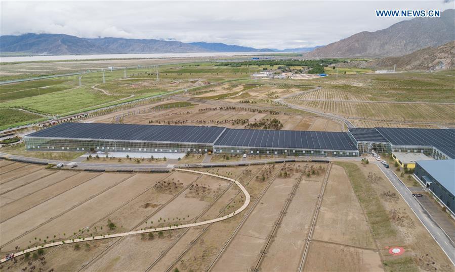 Aerial photo taken on July 23, 2018 shows a nursery base in Zhanang County of Shannan, southwest China\'s Tibet Autonomous Region. Over the past four decades, the Shannan people have made achievements in desert control by building a 1.8-kilometer-wide \