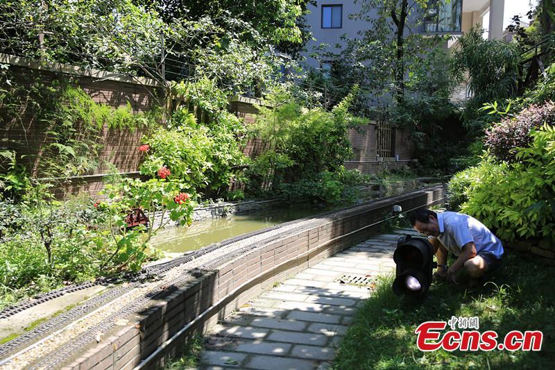 Zhang Yong’an, 63, and his family members have spent five years and more than one million yuan ($145,000) building a ‘train kingdom\' in their 330-sqm home garden in Wenjiang District, Chengdu City, Southwest China’s Sichuan Province. A great fan of train models from an early age, Zhang has tried his best to present every part of a real railway station with vivid models, including train lights, tunnels, passengers, platforms, freight trains and passenger trains. When it rains, Zhang drives all the trains indoors by remote control. (Photo: China News Service/Wu Pinghua)