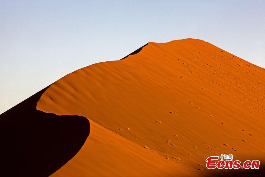 Dune 45 is a star dune in the Namib Desert in Namibia. (Photo provided to China News Service)