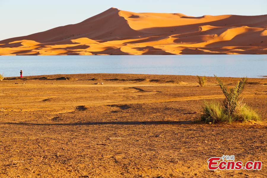 The Sahara Desert. (Photo provided to China News Service)