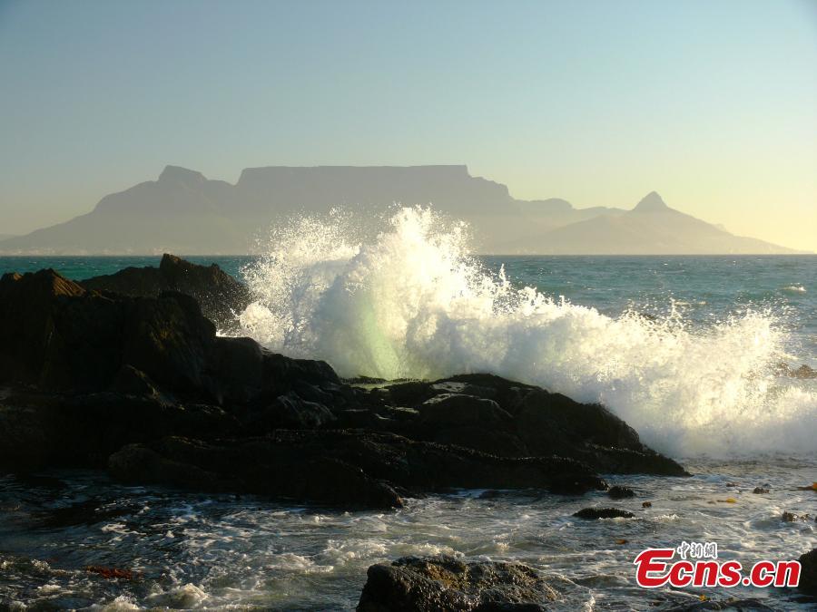 Table Mountain in South Africa. (Photo provided to China News Service)