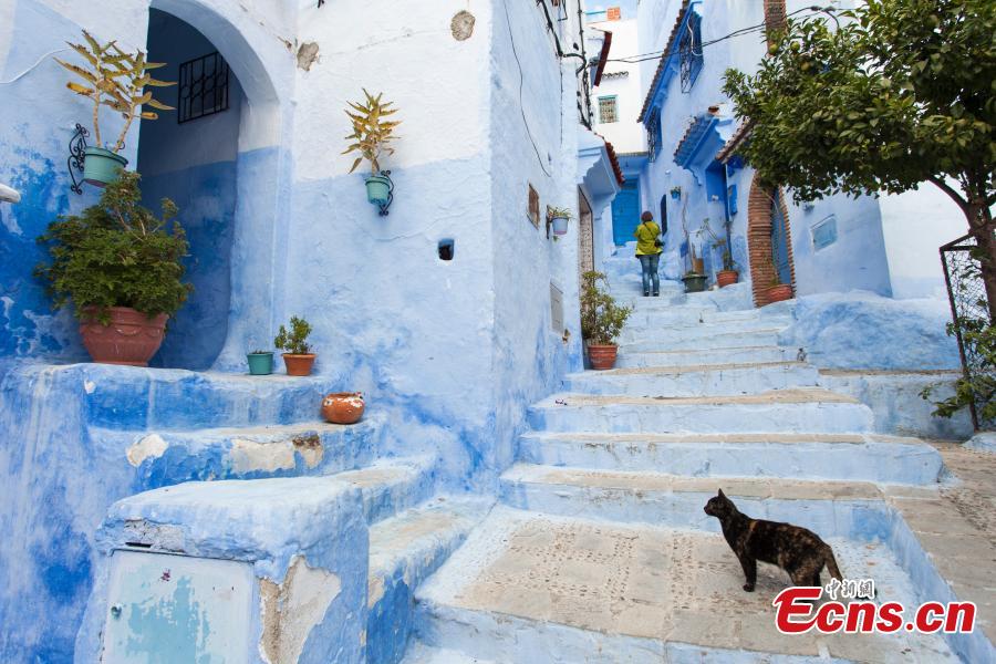 A general view shows a street painted in the tradition blue of the northern Moroccan Rif town of Chefchaouen. (Photo provided to China News Service)