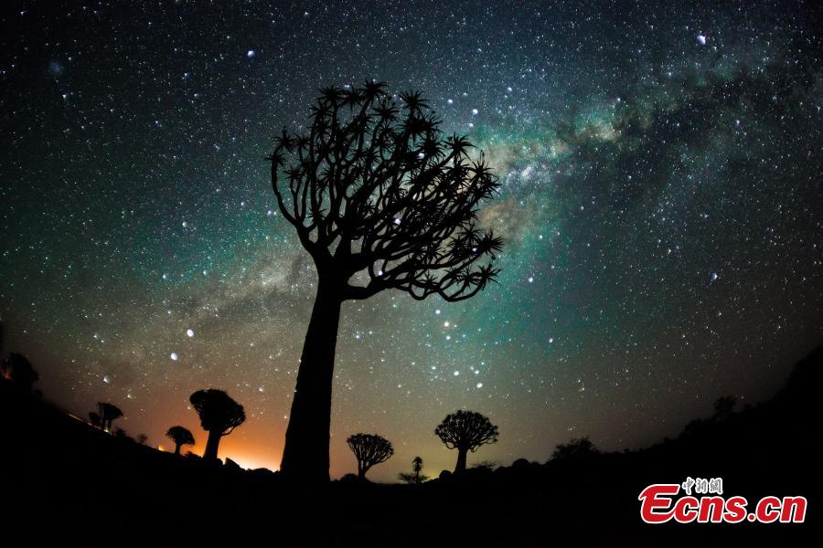The spectacular starry night in Namib Desert. (Photo provided to China News Service)