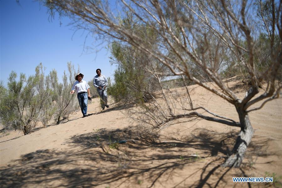 Nakanyala Elina Shekupe (R) and a staff member of Gansu Desert Control Research Institute visit a desertification combating demonstration zone in northwest China\'s Gansu Province, Aug. 25, 2018. Shekupe, 37, is an agricultural technology official from Namibia. She and 11 other students are taking part in a desertification combating and ecological restoration training course organized by China\'s Ministry of Commerce in Gansu. \