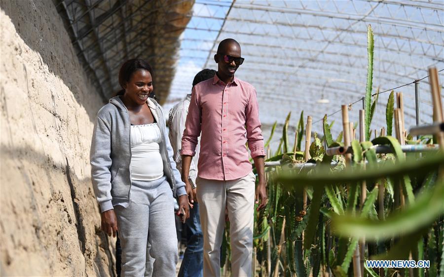 Nakanyala Elina Shekupe (L) and other students visit a greenhouse in Minqin County, northwest China\'s Gansu Province, Aug. 25, 2018. Shekupe, 37, is an agricultural technology official from Namibia. She and 11 other students are taking part in a desertification combating and ecological restoration training course organized by China\'s Ministry of Commerce in Gansu. \