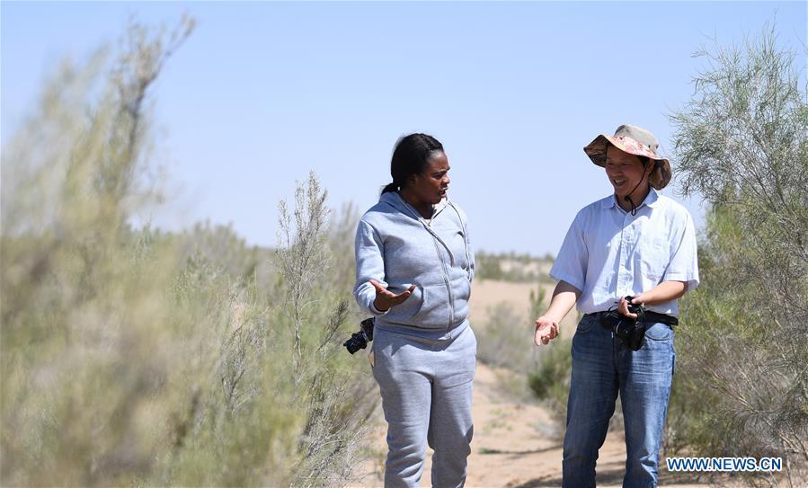 Nakanyala Elina Shekupe (L) and a staff member of Gansu Desert Control Research Institute visit a desertification combating demonstration zone in northwest China\'s Gansu Province, Aug. 25, 2018. Shekupe, 37, is an agricultural technology official from Namibia. She and 11 other students are taking part in a desertification combating and ecological restoration training course organized by China\'s Ministry of Commerce in Gansu. \