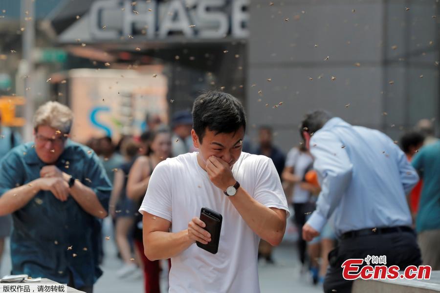 People react to a swarm of bees in Times Square in New York City, U.S., Aug. 28, 2018. The New York Police Department\'s bee keepers unit responded to the scene and safely removed the bees without incident. (Photo/Agencies)