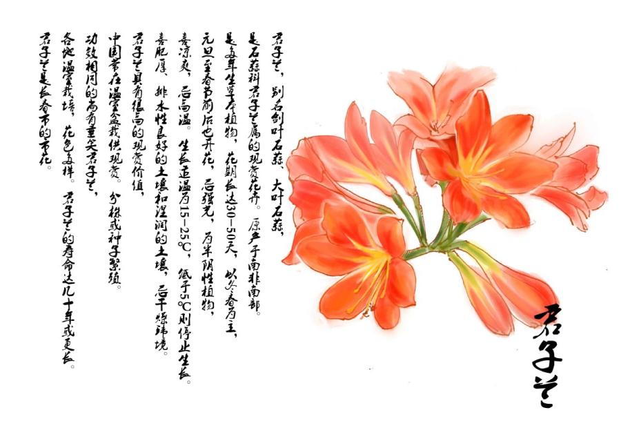 This drawing depicts orchid, the capital flower of Changchun. (Photo provided to chinadaily.com.cn)