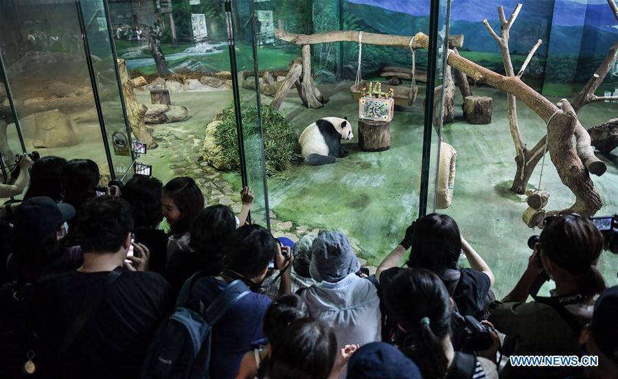 Photo taken on Aug. 30, 2018 shows giant panda Tuan Tuan at Taipei Zoo in Taipei, southeast China\'s Taiwan, Aug. 30, 2018. Born two days later than Yuan Yuan in 2004, giant panda Tuan Tuan also celebrated its 14th birthday together with Yuan Yuan on Thursday. Yuan Yuan and Tuan Tuan were given as a goodwill gift to Taiwan by the Chinese mainland. (Xinhua/Xue Yubin)
