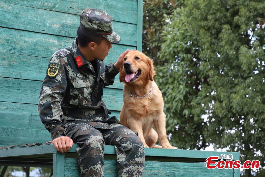 Armed police officer Han Menglin spends his last moments with a police dog at a training base before ending his military service in Guizhou Province, Aug. 31, 2018. (Photo: China News Service/Qu Honglun)