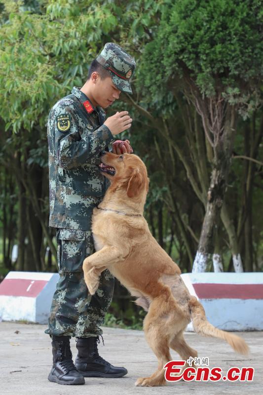 Armed police officer Han Menglin spends his last moments with a police dog at a training base before ending his military service in Guizhou Province, Aug. 31, 2018. (Photo: China News Service/Qu Honglun)