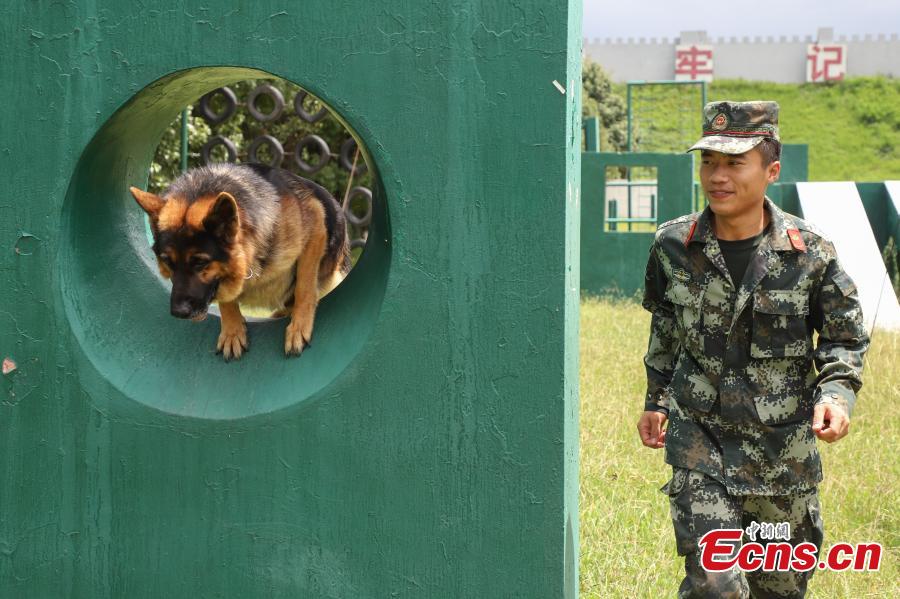 Armed police officer Han Menglin spends his last moments with a police dog at a training base before ending his military service in Guizhou Province, Aug. 31, 2018. (Photo: China News Service/Qu Honglun)