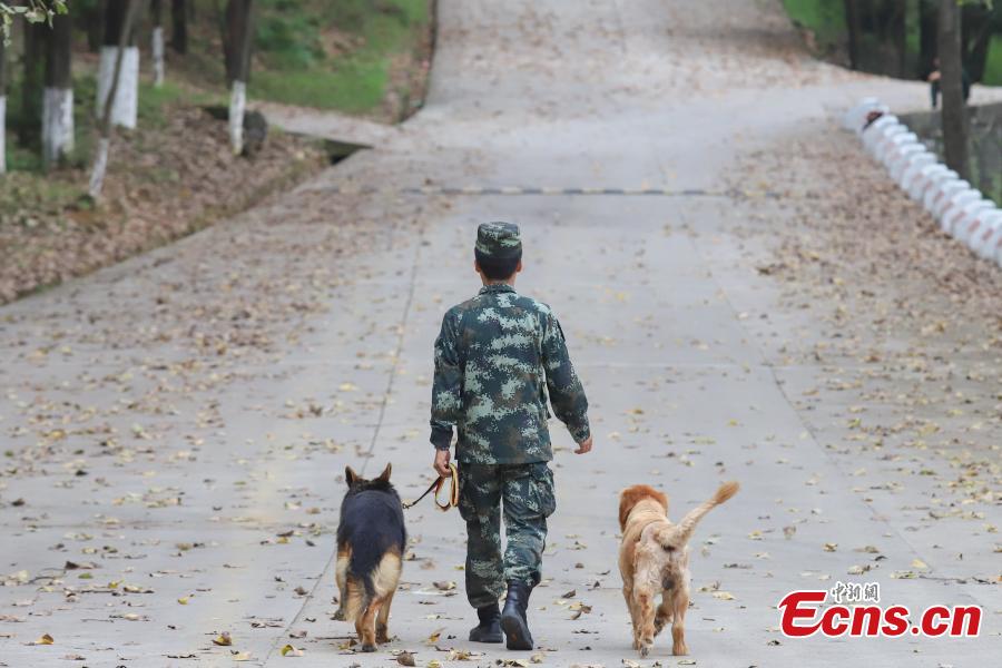 Armed police officer Han Menglin spends his last moments with a police dog at a training base before ending his military service in Guizhou Province, Aug. 31, 2018. (Photo: China News Service/Qu Honglun)