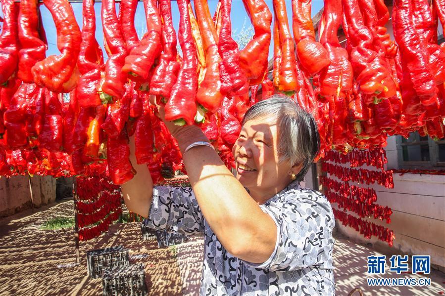 A farmer dries red chili peppers at a garden in Hami, Xinjiang, on Friday, August 31, 2018. (Photo/Xinhua)