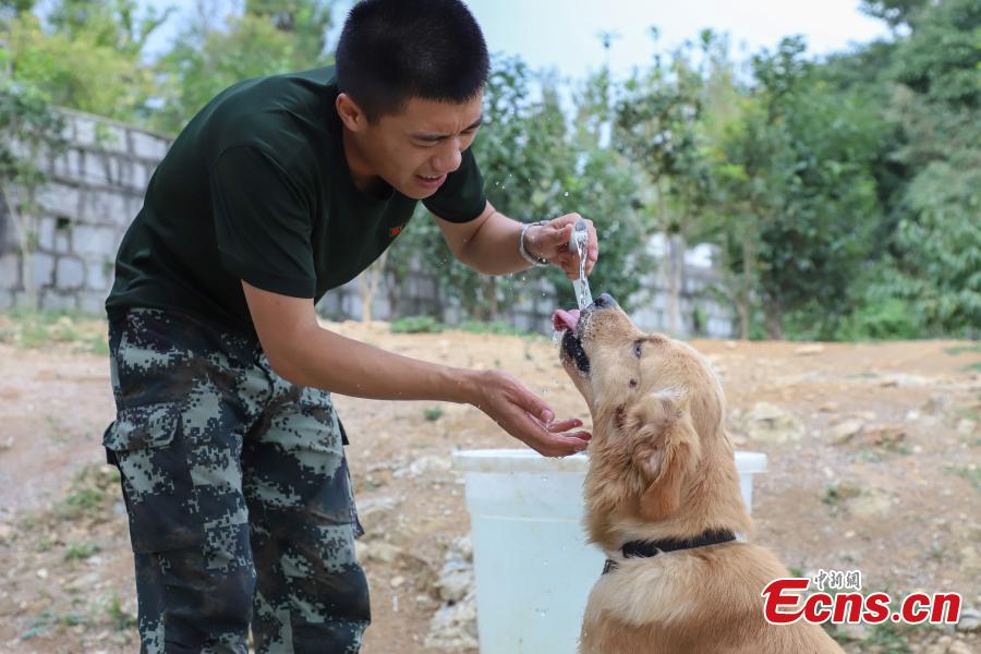 Armed police officer Han Menglin spends his last moments with a police dog at a training base before ending his military service in Guizhou Province, Aug. 31, 2018. (Photo: China News Service/Qu Honglun)