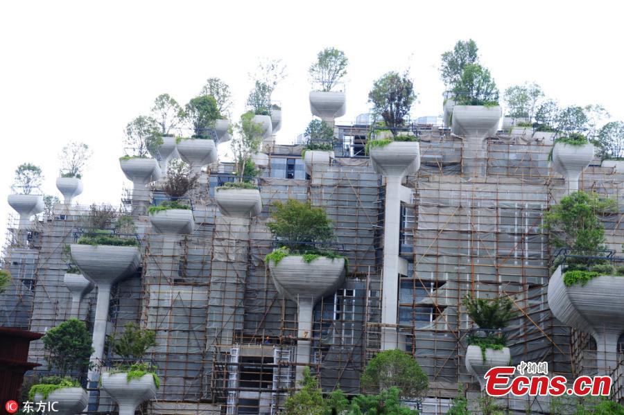 Terraced buildings with landscape features that have been dubbed the \