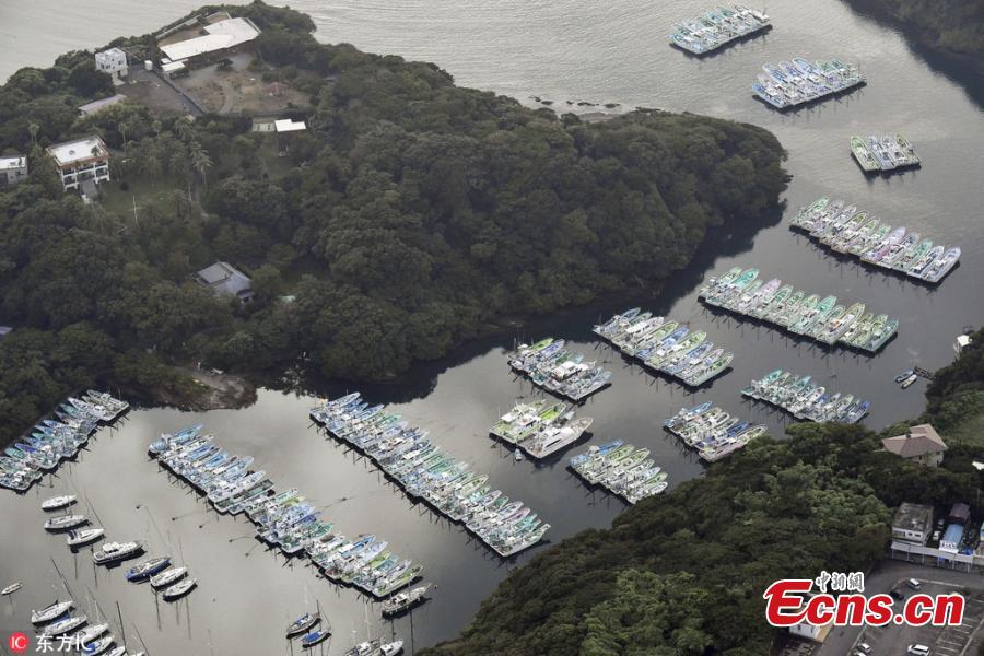 An aerial photo shows fishing boats and other ships park at Aburatsubo Port that is designated as an evaluation place as the typhoon Jebi approaches in Miura City, Kanagawa Prefecture, Japan, Sep.3, 2018. It is the strongest typhoon of 2018 approaching Japan. (Photo/IC)