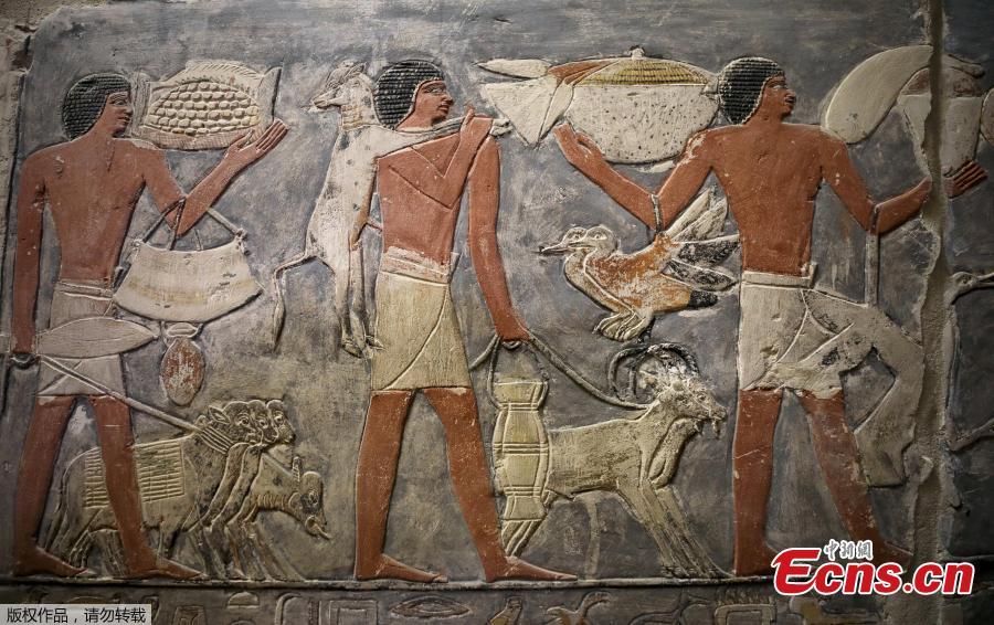 A wall of a chamber of the tomb of Mehu is seen after it was opened for the public at Saqqara area near Egypt\'s Saqqara necropolis, in Giza, Egypt September 8, 2018.(Photo/Agencies)