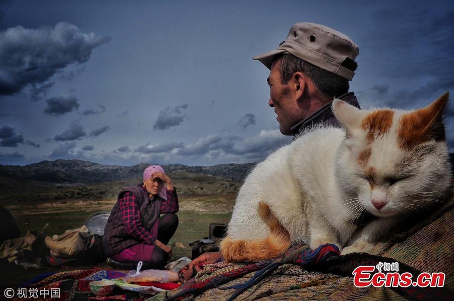 Kazakh nomads herd sheep and cattle to an autumn pasture during a seasonal livestock migration in Altay, Northwest China’s Xinjiang Uyghur Autonomous Region, Sept. 11, 2018. Every season, nomadic shepherds move their livestock to different pastures, a tradition that also offers a magnificent spectacle to outsiders. (Photo/VCG)