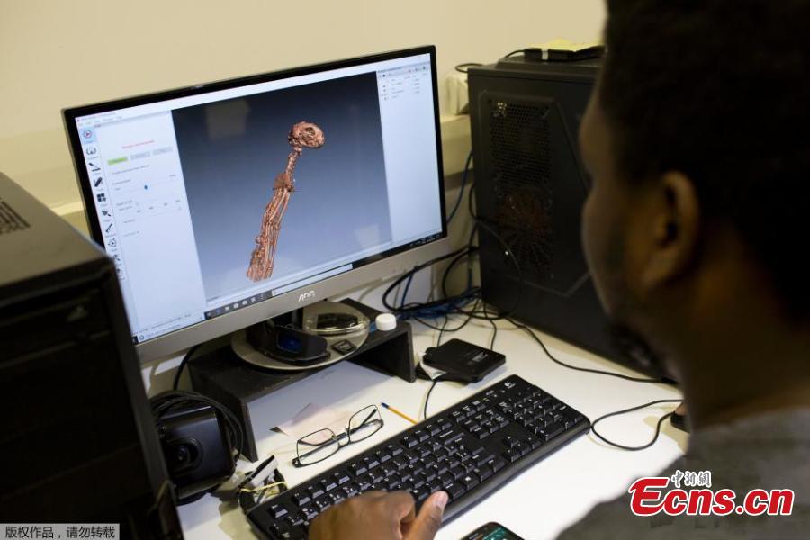 A 3D scan of the bones of the Egyptian cat mummy is displayed on a computer screen at the Pontifical Catholic University, in Rio de Janeiro, Brazil, Sept. 5, 2018. About 300 pieces of the Brazil\'s National Museum that were scanned and some printed in 3D could help to rebuild part of the heritage lost in the fire this weekend. Since 2000, researchers at the PUC worked together with the museum, scanning and printing some of the most important objects of the institution. (Photo/Agencies)