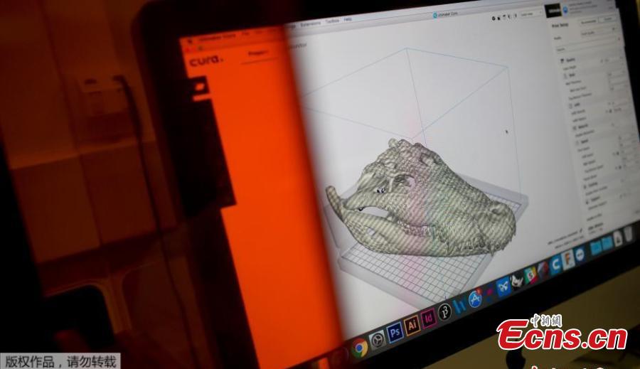 A 3D scan of a crocodile cranium, part of the collection National Museum collection, is displayed on a computer screen at the Pontifical Catholic University, in Rio de Janeiro, Brazil, Sept. 5, 2018. About 300 pieces of the Brazil\'s National Museum that were scanned and some printed in 3D could help to rebuild part of the heritage lost in the fire this weekend. Since 2000, researchers at the PUC worked together with the museum, scanning and printing some of the most important objects of the institution. (Photo/Agencies)