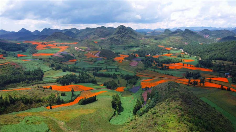 A view of Shede Meadow in Yunnan Province. (Photo provided to chinadaily.com.cn)
Recently, the Yunnan Provincial Tourism Development Commission and online travel website Lotour.com organized a tour, inviting tourism experts from Beijing, Shanghai, Guangzhou, Xiamen and Nanjing to experience the charm of Yunnan province.
These experts explored more than 20 scenic spots in seven regions of the province in 168 hours, promoting tourism in Yunnan across three themed travel routes: legendary ancient towns, splendid fairyland scenery and exotic cultures.