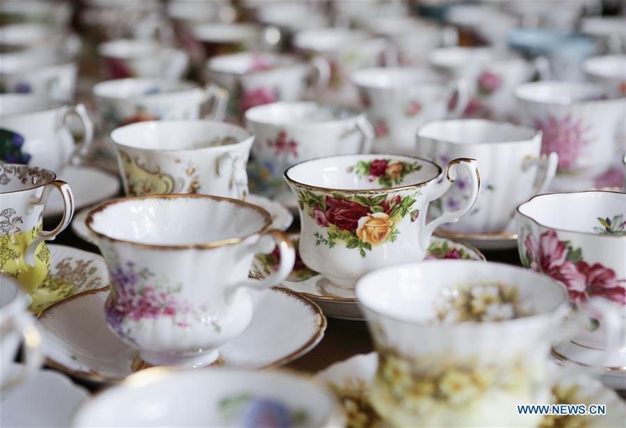 English teacups and saucers of teacup collector June Gao are seen in Vancouver, Canada, Sept. 13, 2018. (Xinhua/Liang Sen)