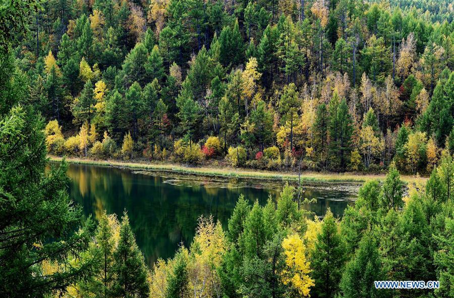 Photo taken on Sept. 14, 2018 shows autumn scenery of the Tianchi Lake in Arxan, north China\'s Inner Mongolia Autonomous Region. (Xinhua/Ren Junchuan)